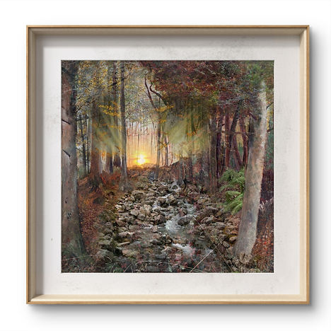 Cornish forest painting.JPG