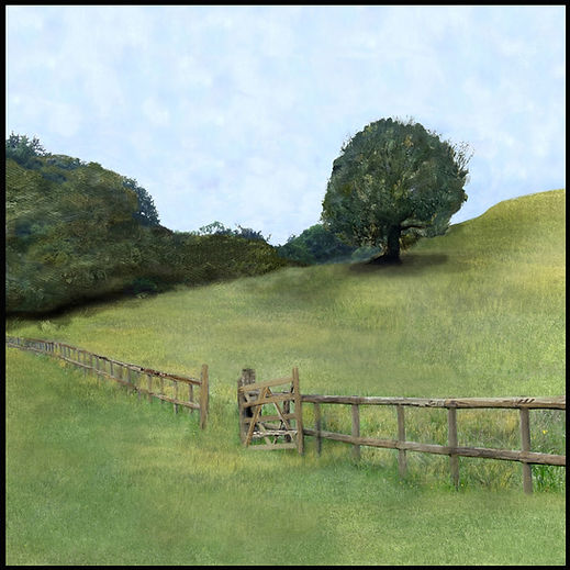C37 Stonesfield Common Master Copy v2 website copy.jpg