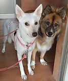 IMG_0002_BURST0010002 2.JPG