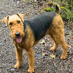 Can’t escape the pup-arazzi!