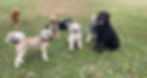 Homepage2.jpg