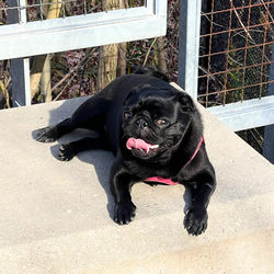 Now offering nap lessons.