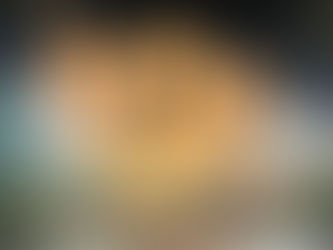 All About Disney's Pop Century Resort