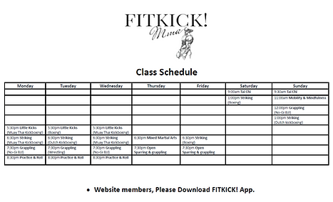 Screenshot 2025-11-19 113859.png