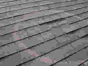 Schenectady home Inspectors What’s Up On The Rooftop