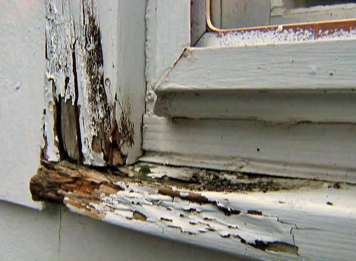 The Importance Of Replacing Rotten Wood In Your Home.