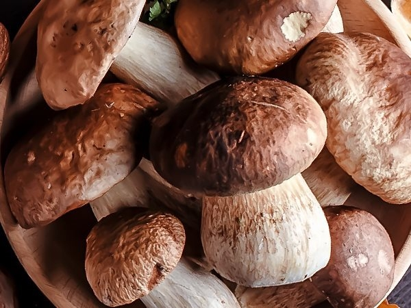 Tartine con salame e porcini_4_3.jpg.webp