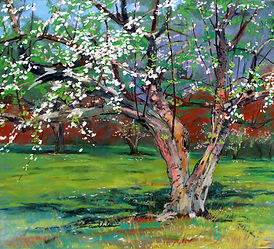 Orchard in Spring 16x20 300dpi.jpg