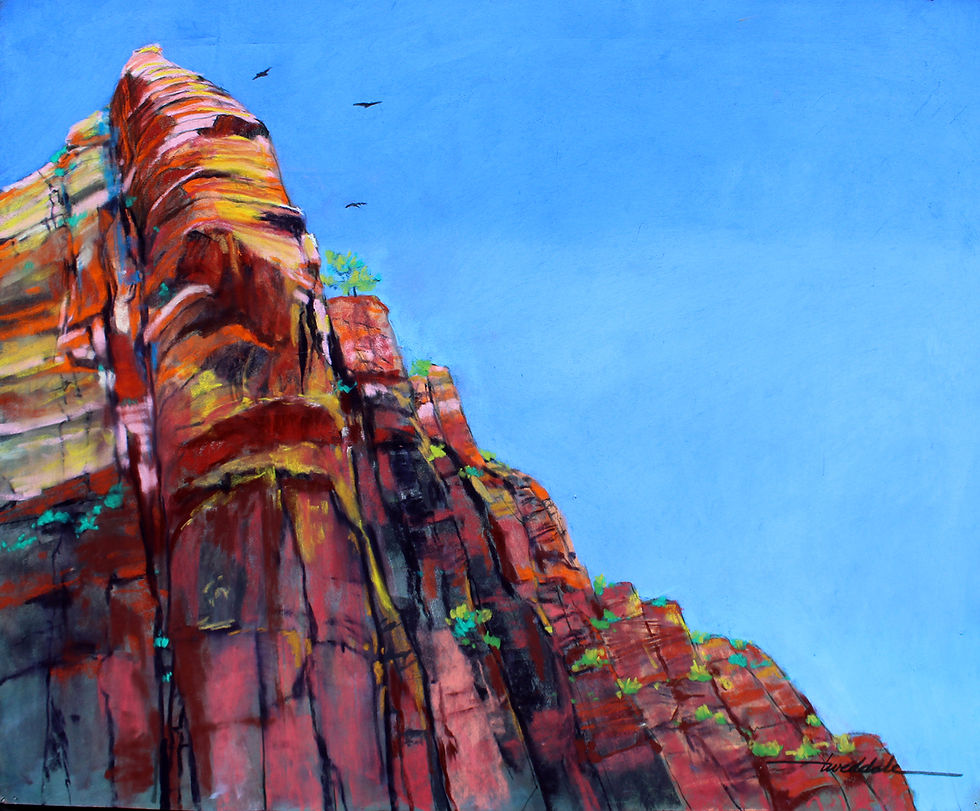 Condors in Flight