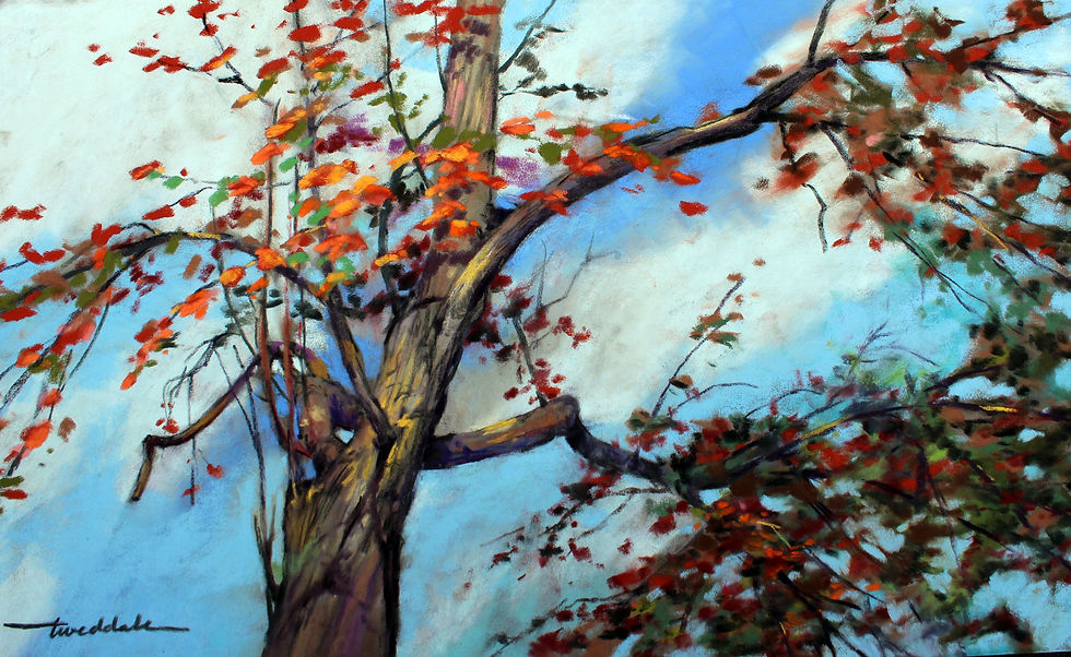 2020 Fall Meditation