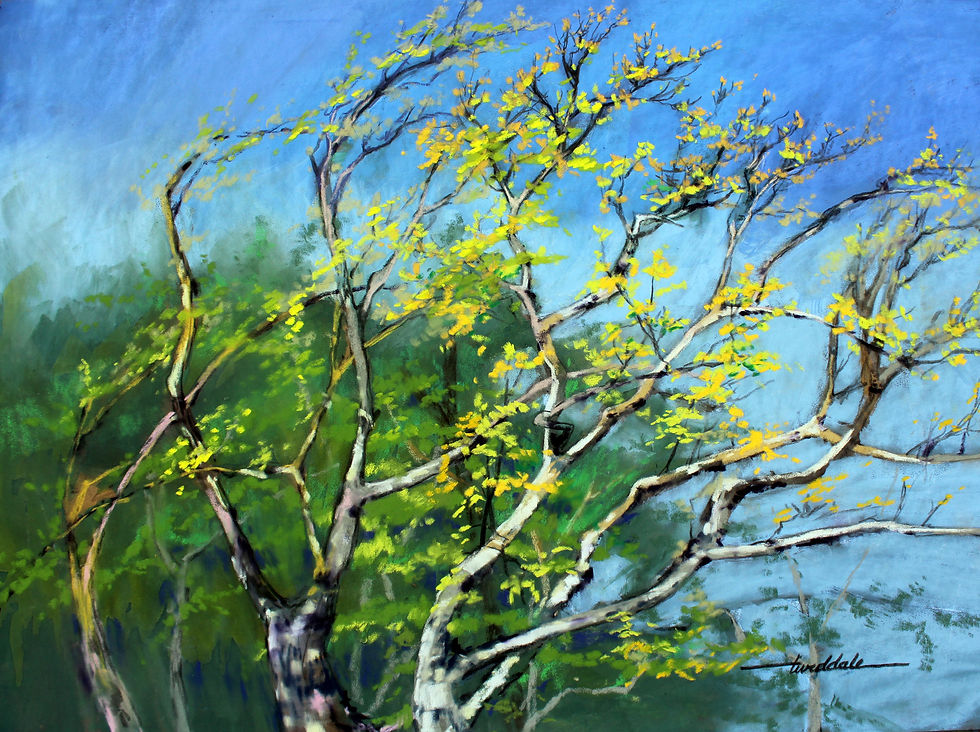 Sycamore Layers