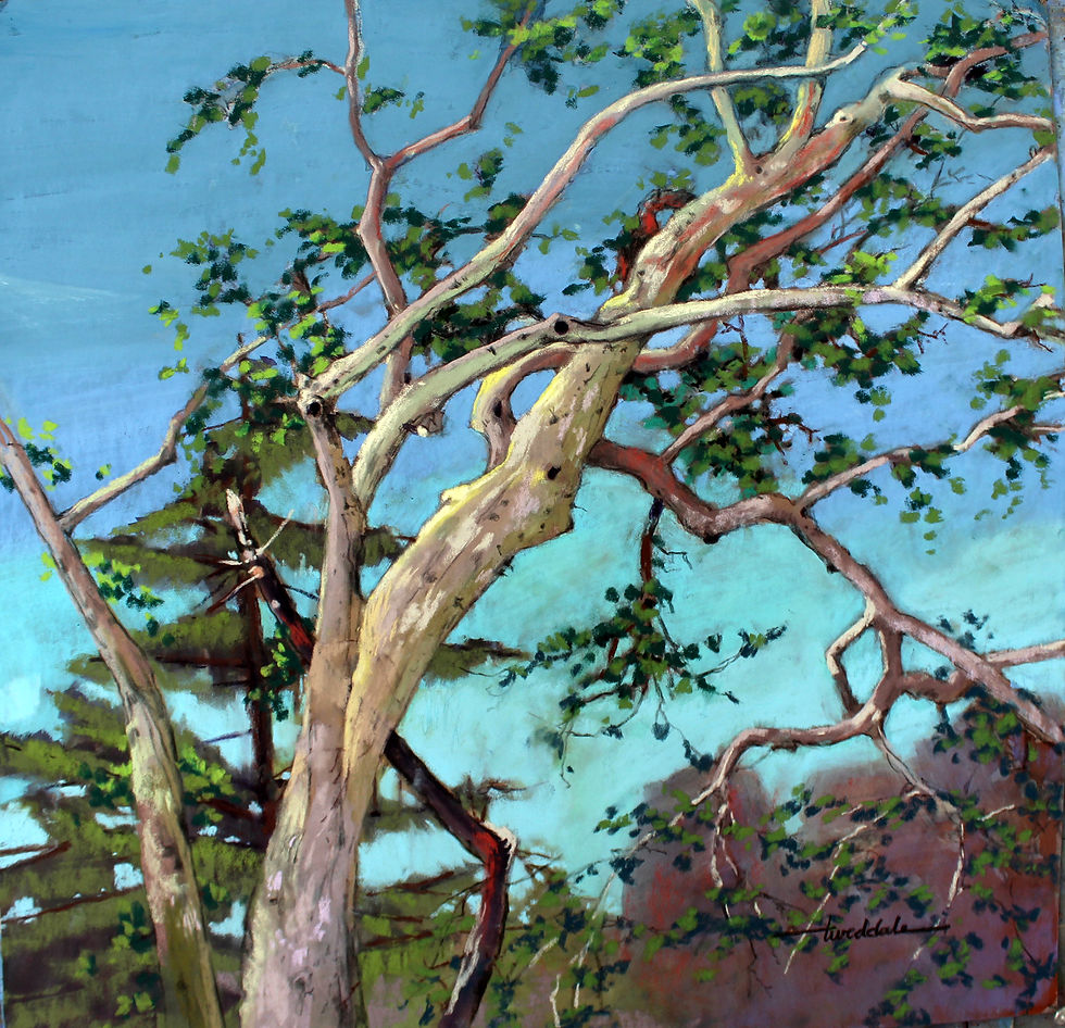 Tlaquepaque Sycamore 20x24 pastel