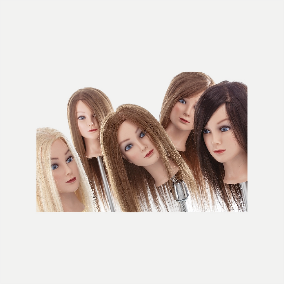 testina professionale per prova barbieri e parrucchieri Xanitalia