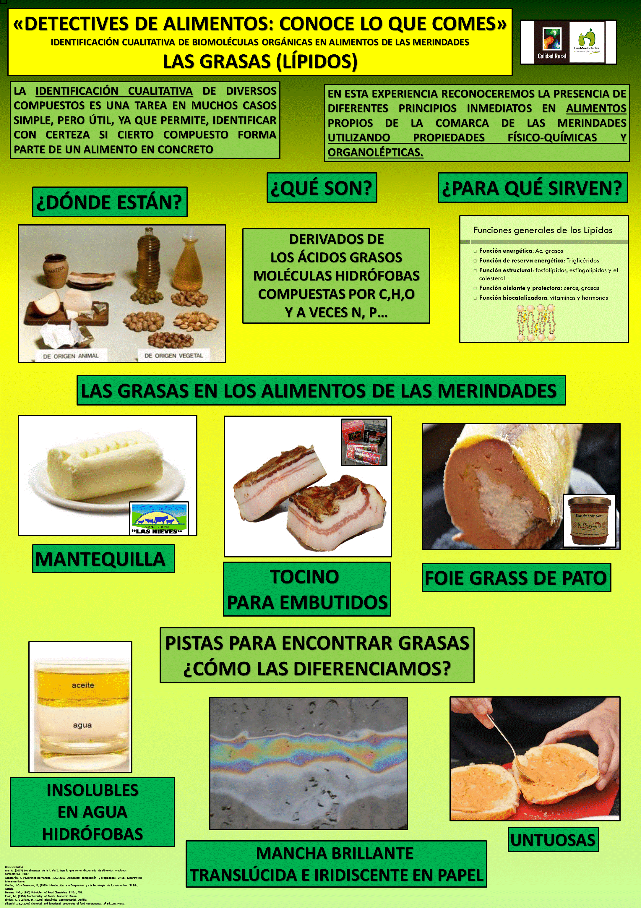 Diapositiva2