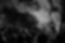 pexels-maumascaro-4636148_edited_edited.png