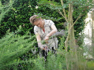 M & Lavendar-DSC01172.jpeg