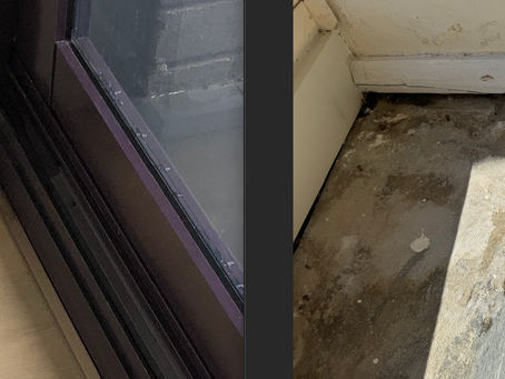 The Lounge Room Was Not Meant to Be the Drainage Outlet