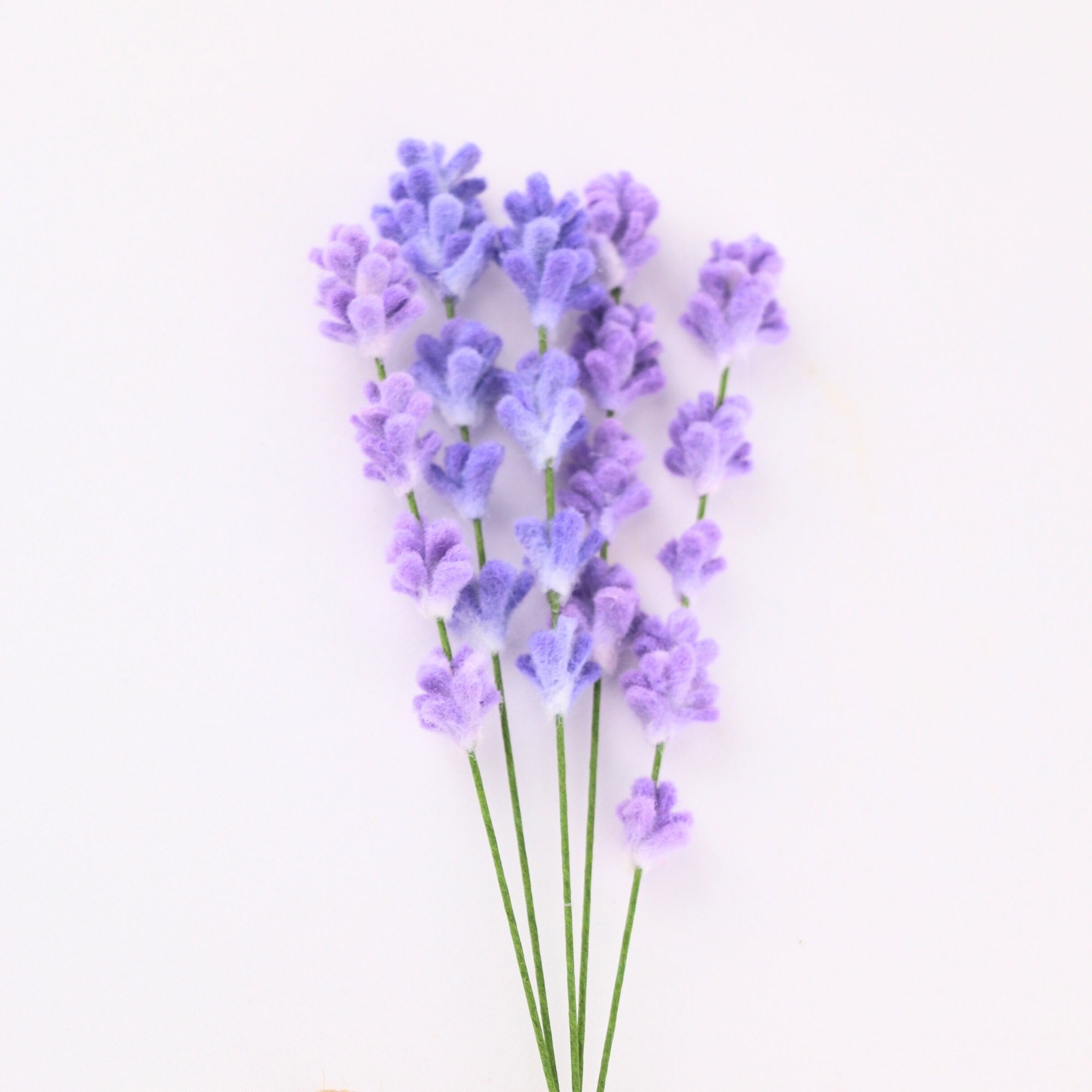Lavender - 5 stems