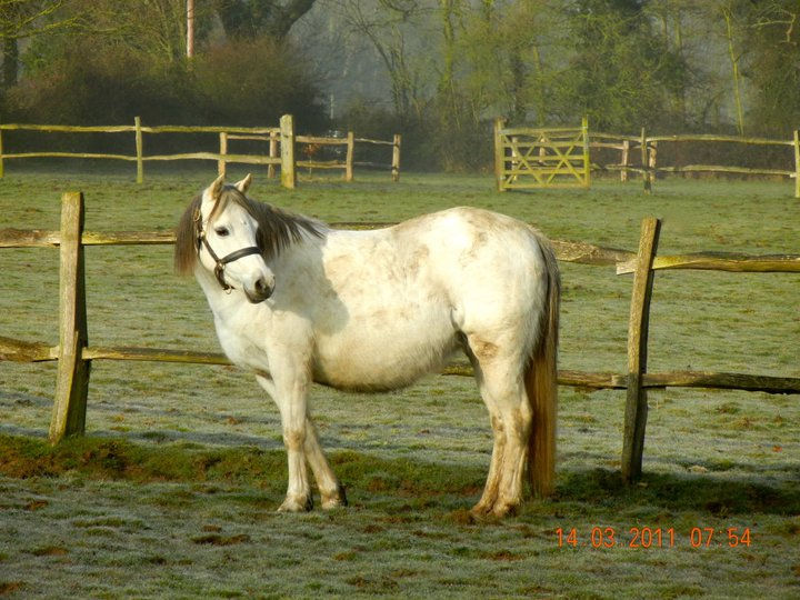 Just arrived from Rhoson