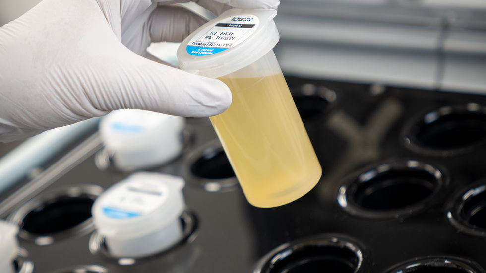 A scientist placing a test in an IDEXX Tecta device.
