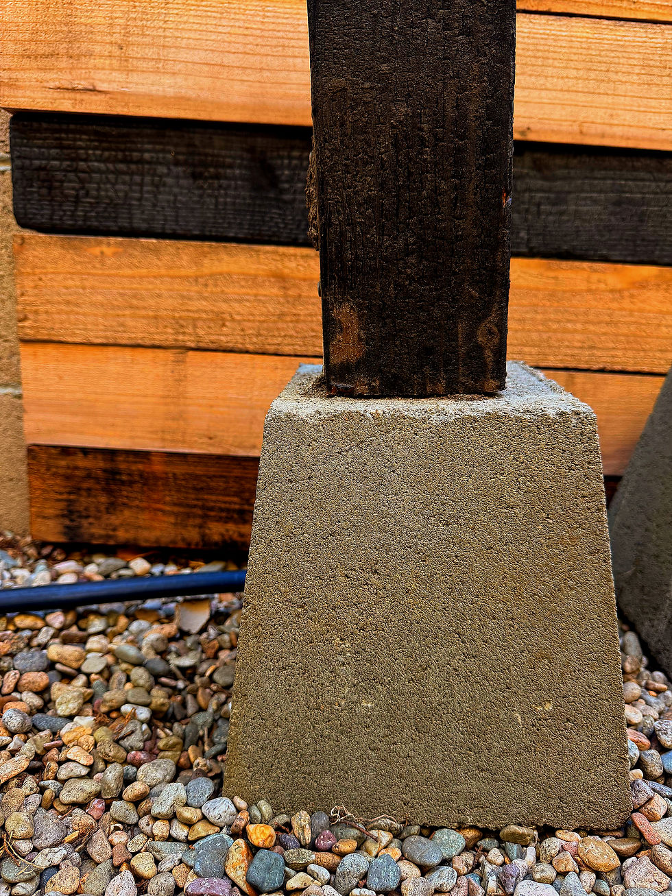 Thumbnail: Dragon Fruit Foundation Fiesta