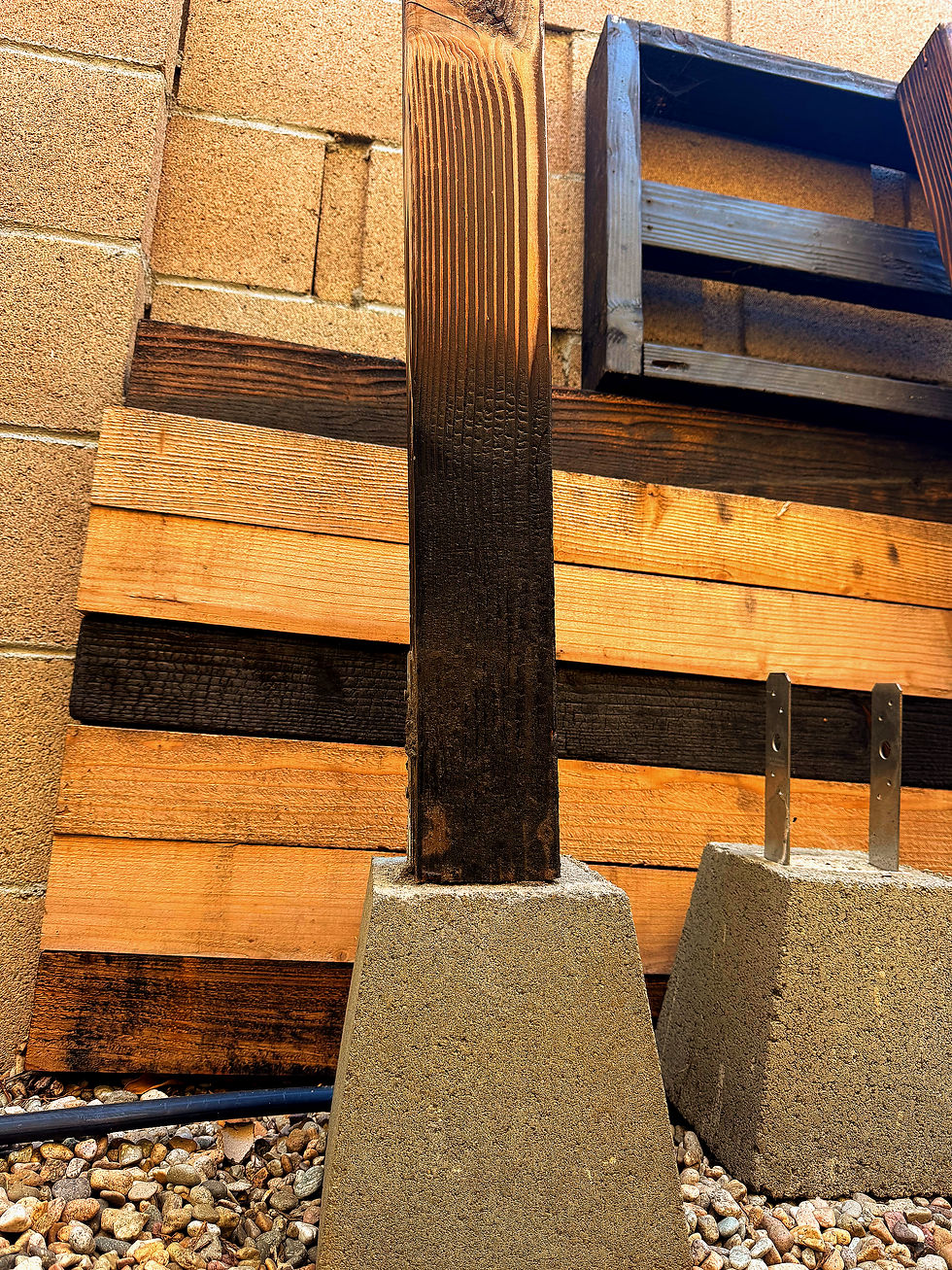 Thumbnail: Dragon Fruit Foundation Fiesta