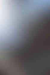 Logo edition Mercedes Ă Lille