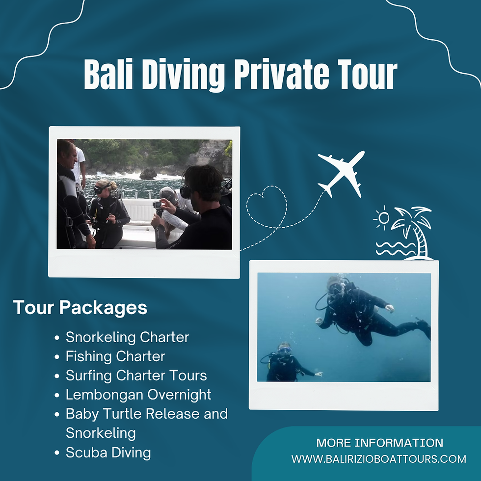 Bali Diving Private Tour