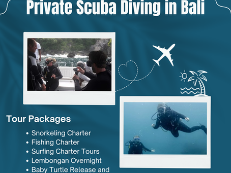 Private Scuba Diving in Bali