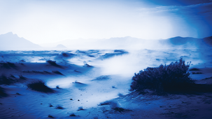 The Shrub That Called Bullshit on Self-Doubt