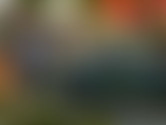 Staying safe on your Luxury Safari Trip