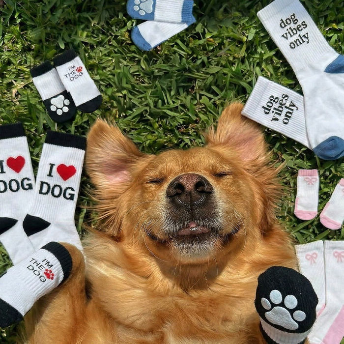 CALCETINES ANTIDERRAPANTES PERRO