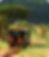 SAFARI TRIP PACKAGES.png