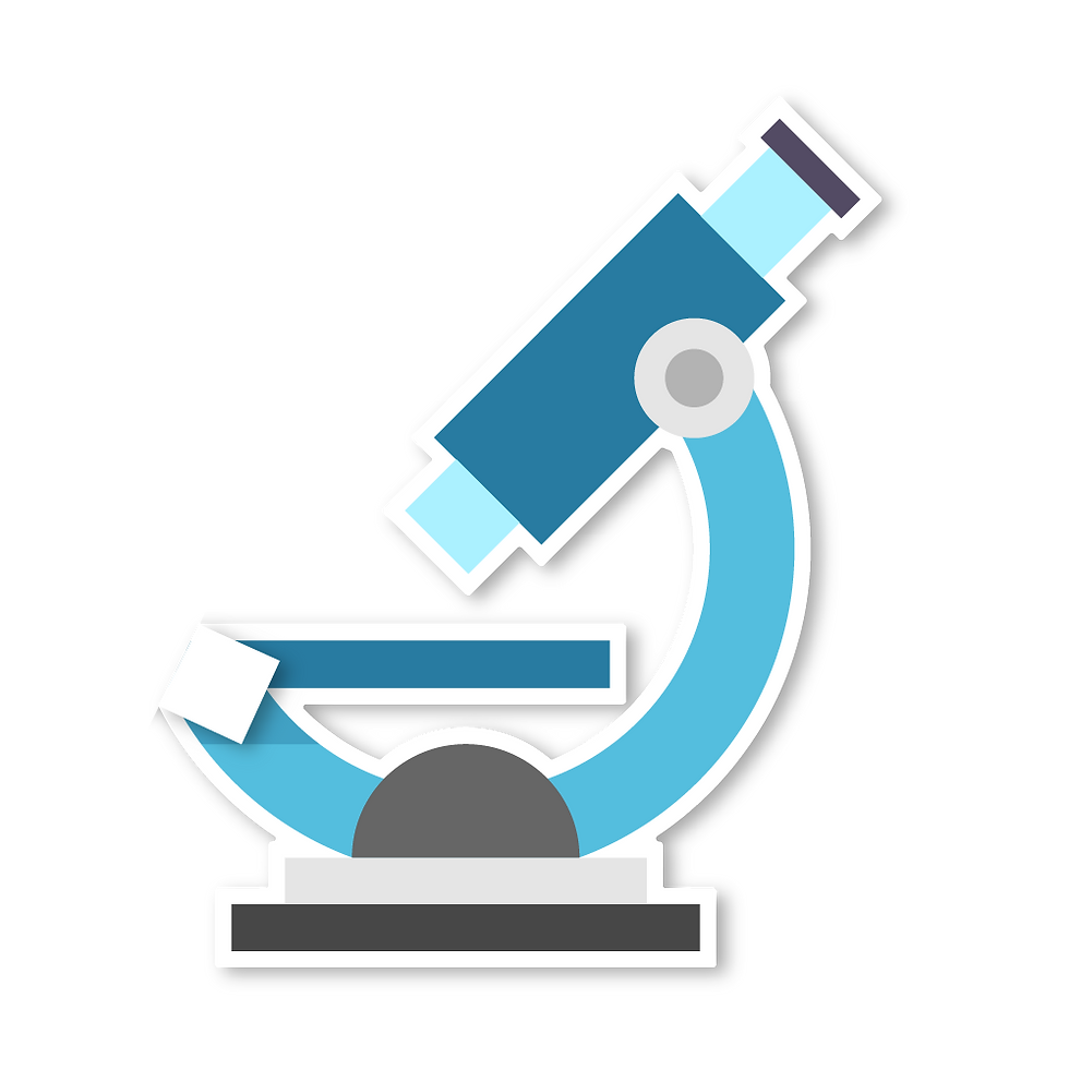 SISTEMA EDUCATIVO RUSO