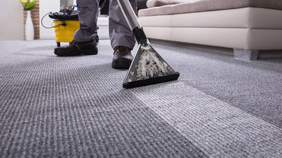 LAVADO DE ALFOMBRAS IRAPUATO