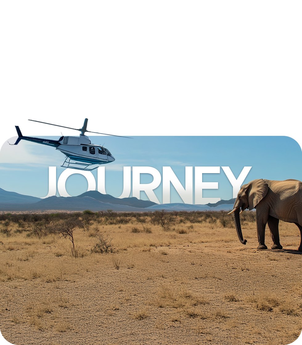 SAFARI TRIP PACKAGES.png
