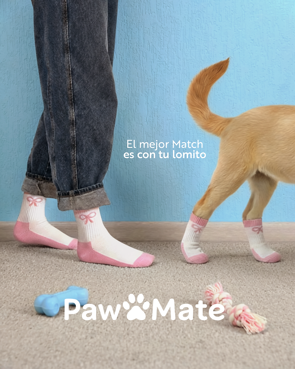 CALCETINES PARA PERROS CHIHUAHUA.png