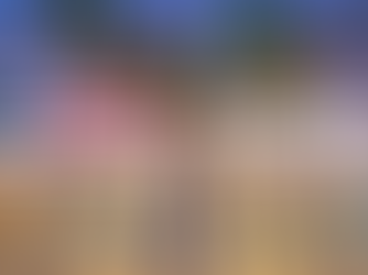 FLORIDA HIGH SCHOOL GIRLS SOCCER: St. Johns Country Day caps brilliant season with Class 1A state title