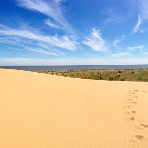 DUNAS SAN COSME