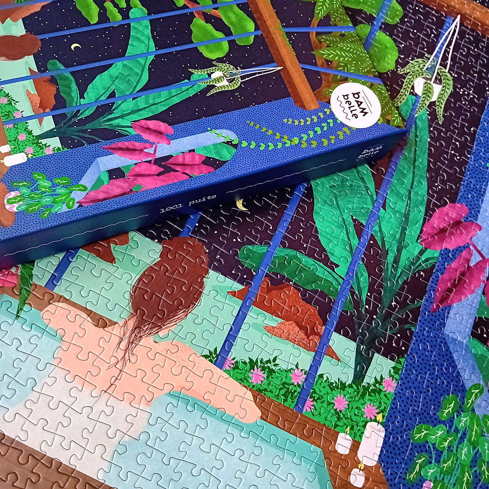 Miniature : Puzzle illustré adulte 1000 pièces - 1001 Nuits | Voyage apaisant et mystique