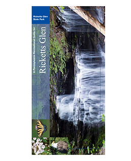 Untitled design (51).png