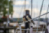 Elde Maritime Szene mit zwei Vögeln auf einer Bootsleine Sinnbild für Nautisches Design und hochwertige Handwerkskunst