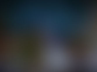 A Diverse Holiday Season