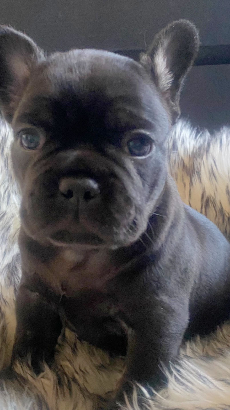 20250426_013511000_iOS_edited