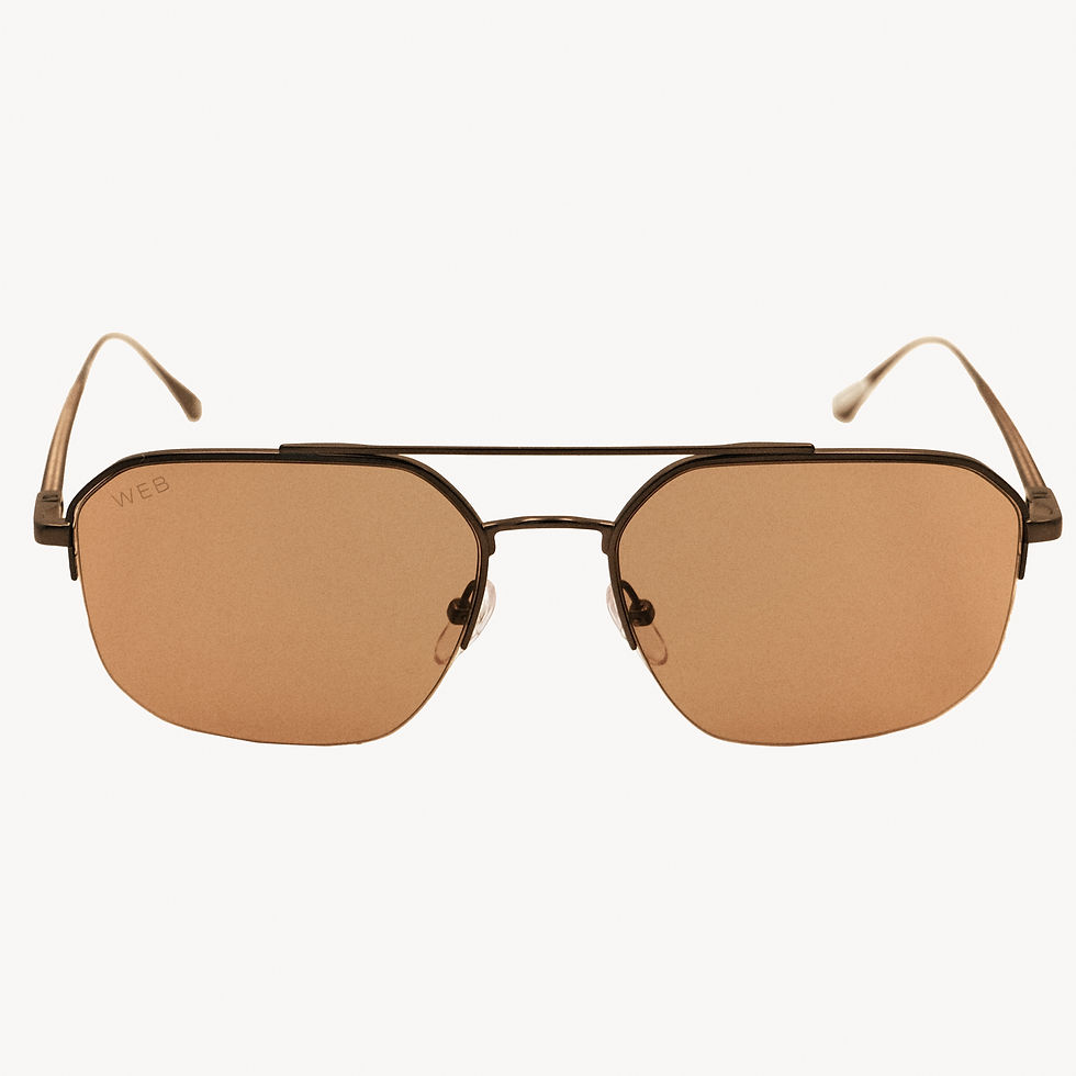 Sunglasses with brown lenses and a dark metal frame
