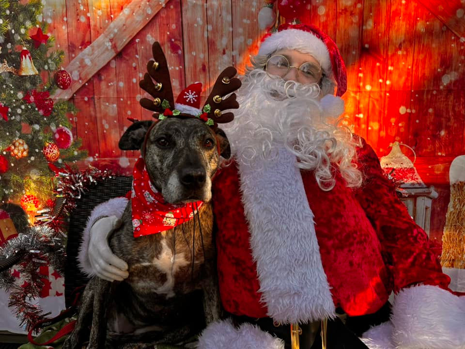 Shelby – Homeward Bound Program