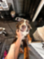 Rigby – Homeward Bound Program