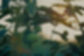 Tomato%2520Plant_edited_edited.jpg