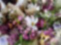 IMG_20250721_162850-EDIT.jpg