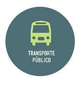 Ruta Alterna / Transporte público / Movilidad y Cultura Urbana